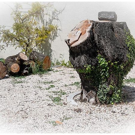 Maison De Retraite Vertaizon Εξωτερικό φωτογραφία